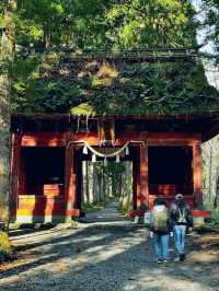 Spring Hike, Step Into a Sacred Forest