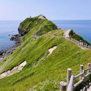 🌊 Epic Hokkaido Road Trip: Cape Kamui & Shakotan Peninsula Day Adventure! 🚗💨