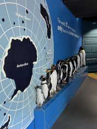 Picture perfect spots in Taronga Zoo Sydney