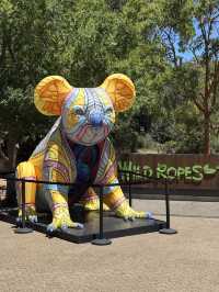 Picture perfect spots in Taronga Zoo Sydney