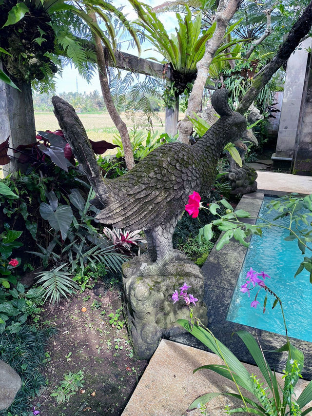  Morning Serenity at Prabhu Ubud Villa’s Lush Oasis Pool