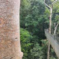 Spring Escape at Hot Spring, Sabah