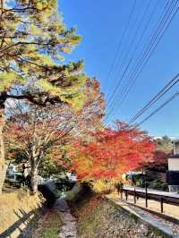 CHERRY BLOSSOMS WITH A VIEW | KAWAGUCHIKO PARK AND MOUNT FUJI
