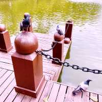 Weekend City Escape: Serenity at Perdona Botanical Garden 