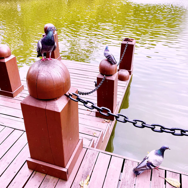 Weekend City Escape: Serenity at Perdona Botanical Garden 