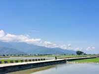 🌿台東伯朗大道｜沉浸在一望無際的翠綠稻田中