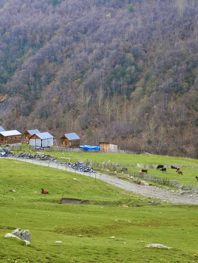 Ushguli: A remote Georgian village 