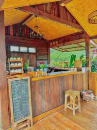 เที่ยวคาเฟ่สุดชิลบ้านไฮตาก วิวโคตรสวย ⛰️🥤