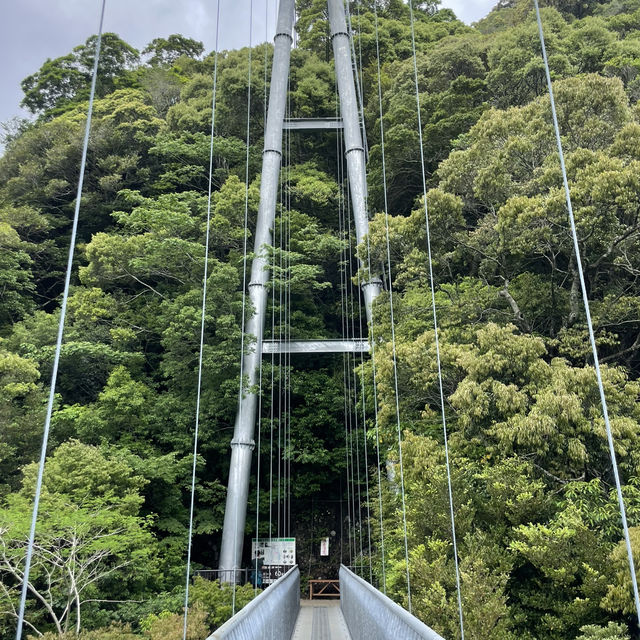 🏮九州JR鐵道迷週遊⛩️ 