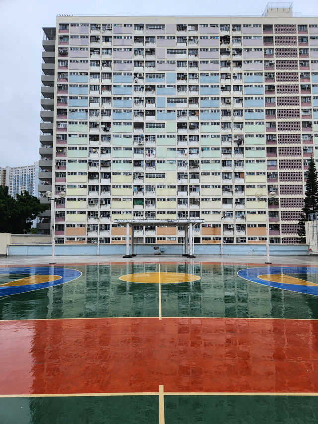 인천에서 3시간 30분! 무수한 관광지가 있는 나라 홍콩!🇭🇰