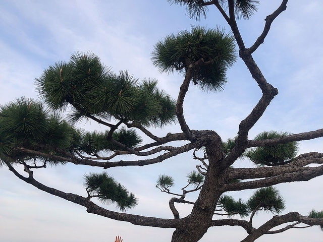 정동진과 설악산 1박 2일 여행코스