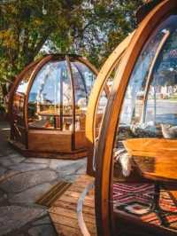 Classic Comfort at Zion Lodge: Stay & Dine Inside the Park