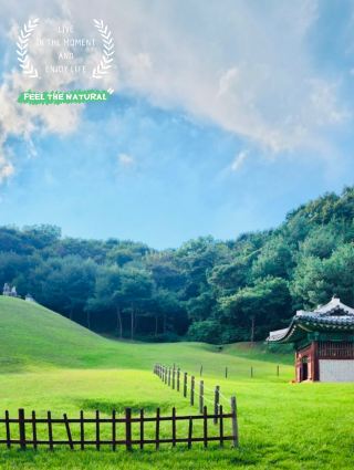 A Journey to Sungneung: A Glimpse into Joseon Royalty and Heritage