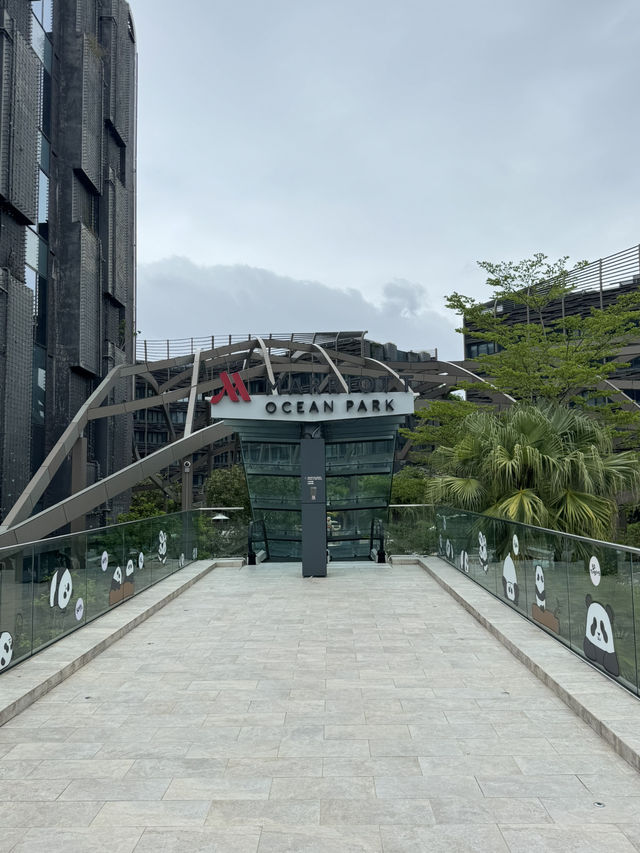 【香港】 海洋公園萬豪自助午餐，甜品愛好者必食！