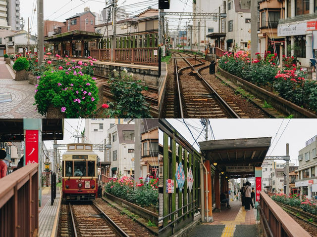 รถรางเส้นทางสายดอกกุหลาบแห่งกรุงโตเกียว🌿