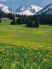 Yili: The Green Jewel of Xinjiang
