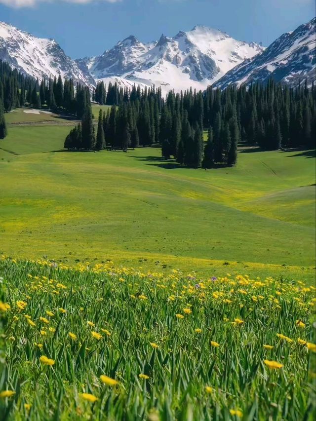 Yili: The Green Jewel of Xinjiang