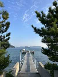 【直島】泊まれる美術館で現代アートと一体化「ベネッセハウスミュージアム」