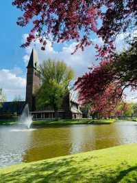 Rotterdam in Spring: A City Bursting with Color and Life