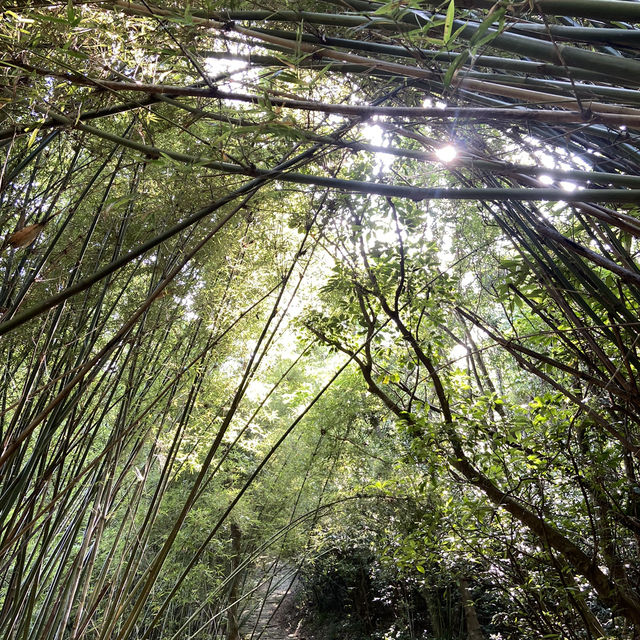🚶‍♂️台北大縱走第五段｜逆走攻略：碧山巖 ➝ 劍潭站