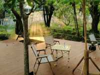 phuri cafe bowin ธีมเหมือนเป็นป่ากลางเมือง