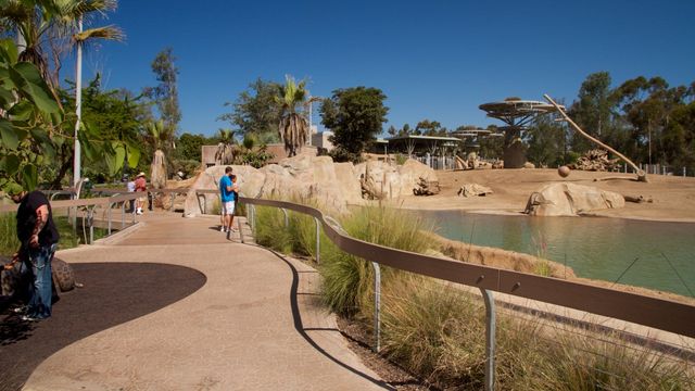 聖地亞哥動物園