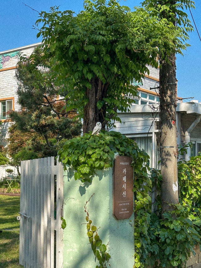 푸릇한 정원이 있는 칠곡 카페 시선