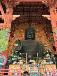 奈良｜5層樓高莊嚴大佛 到聖武天皇蓋的東大寺感受千年歷史