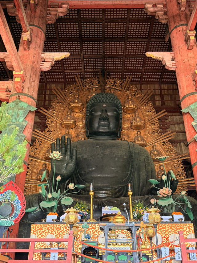 奈良｜5層樓高莊嚴大佛 到聖武天皇蓋的東大寺感受千年歷史