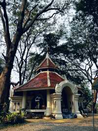 Favorite short hike in chiang mai