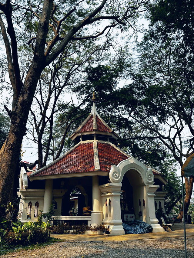 Favorite short hike in chiang mai