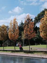 【悉尼】海德公園🍁悠閒綠洲與美麗秋景的完美結合😎🌳
