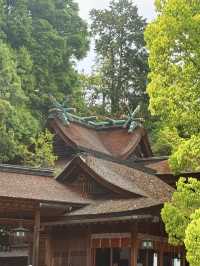 香川｜千階樓梯挑戰的金刀比羅宮 與金比羅犬有趣歷史