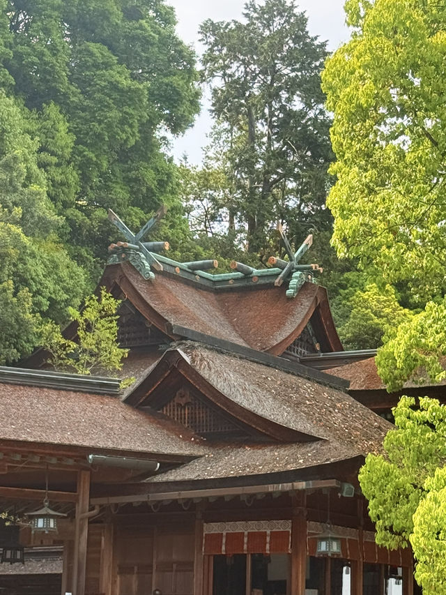 香川｜千階樓梯挑戰的金刀比羅宮 與金比羅犬有趣歷史
