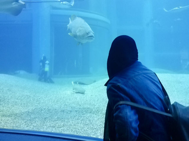 48 Hours in Osaka: Castles, Kimonos & City Lights! 