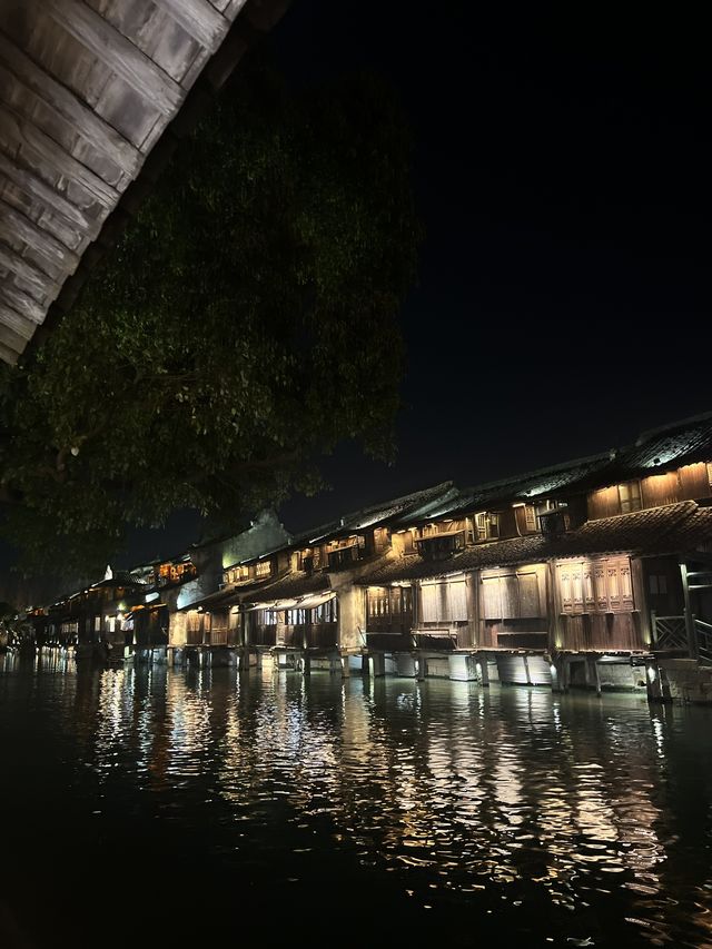 A Memorable Trip to Wuzhen