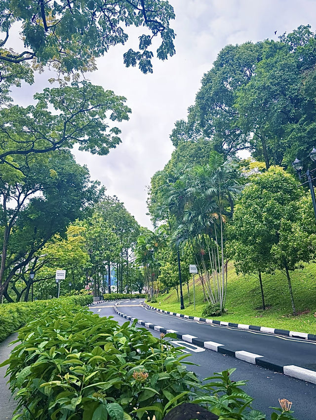 เที่ยวสิงคโปร์กันเถอะ🇸🇬