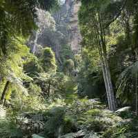 Blue Mountains National Park – NSW