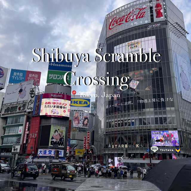 🌧️→☀️ A Quick Stop at Shibuya Scramble Crossing