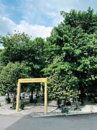 Summer Hiking Escape at Taman Tugu Forest Trail