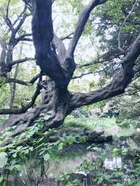 【東京都北区赤羽の自然と清い滝・文化の融合したローカル遊歩道】