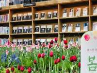 Starfield Library: A Captivating Oasis in the Heart of Gangnam