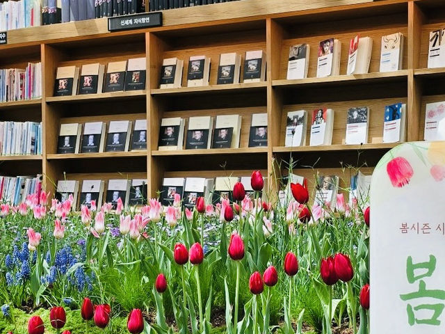 Starfield Library: A Captivating Oasis in the Heart of Gangnam