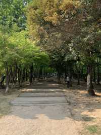 김해 숨은 매력 넘치는 도심 속 힐링코스!✨🏞️
