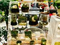 A Little Green Joy at Gurney Paragon Mall