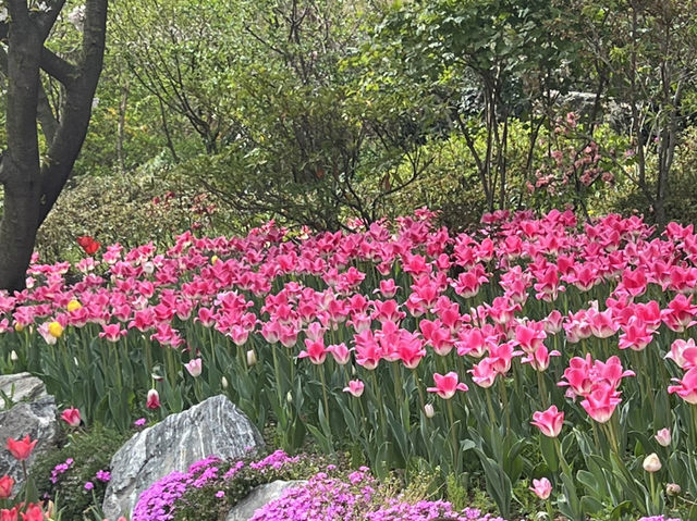 아산여행