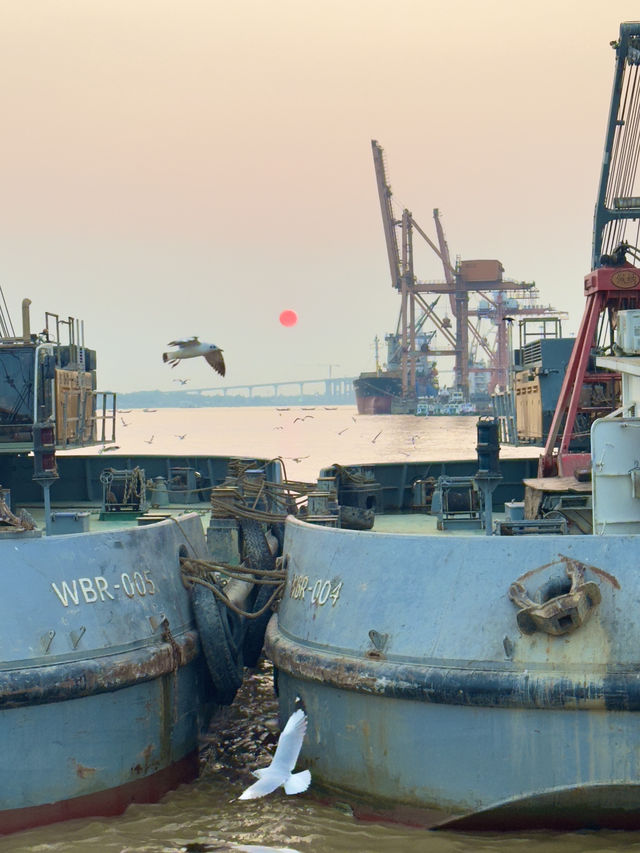 🌇 Chasing Sunsets & Feeding Birds at Botataung Jetty