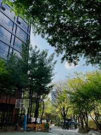 Seoul : Big City, Small Spend