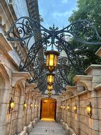🎢【千葉・舞浜 東京ディズニーランド攻略】初心者もリピーターも！一日を最大限に楽しむヒント