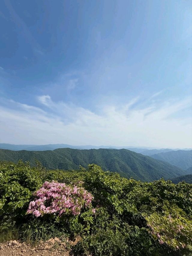 Waterfalls, Woods, and Zero Worries